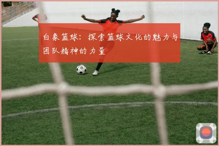 白象篮球：探索篮球文化的魅力与团队精神的力量