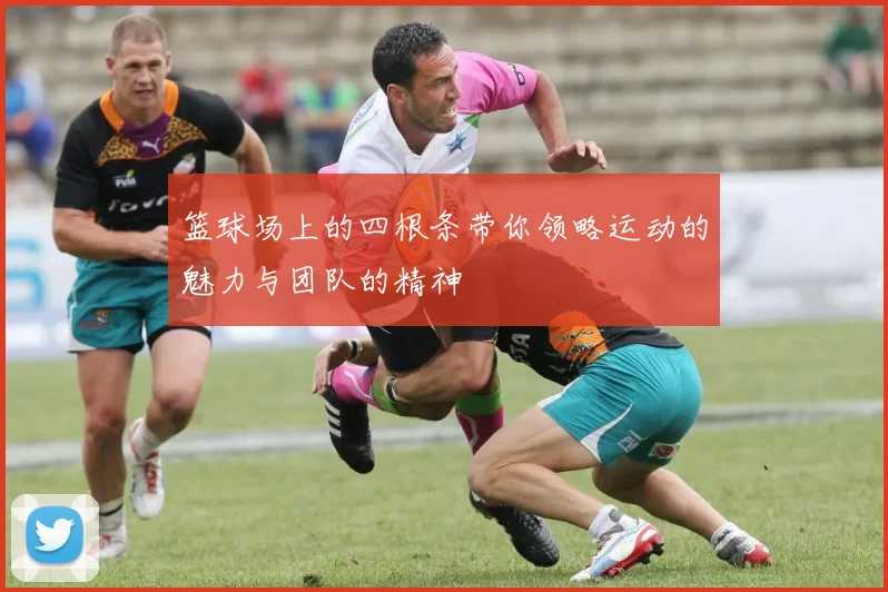 篮球场上的四根条带你领略运动的魅力与团队的精神