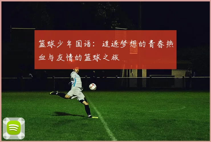 篮球少年国语：追逐梦想的青春热血与友情的篮球之旅