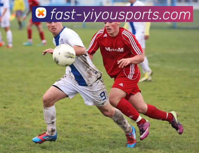 App Interface Preview